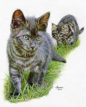 Unsuspecting
White Cartridge Paper
9" x 7.5"
Tarka and Griffin (Laila's 2nd litter) Unsuspecting
White Cartridge Paper
9" x 7.5"
Tarka and Griffin (Laila's 2nd litter)